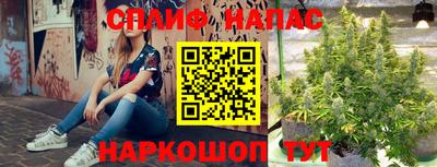 шишки Рыбинск