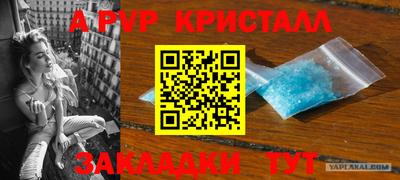 прущая мука Пугачёв
