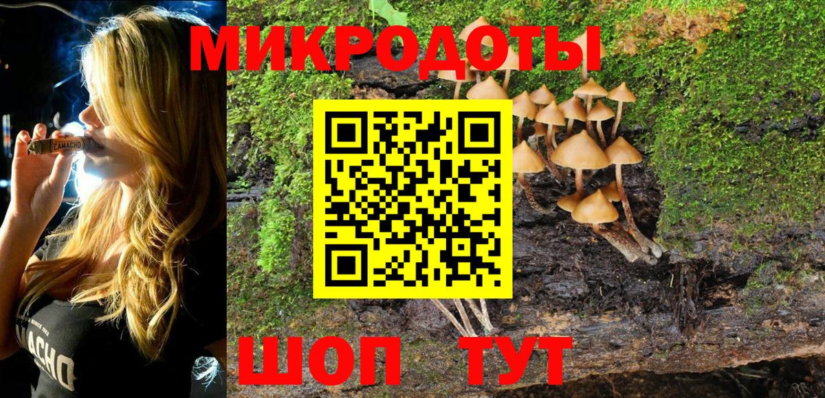 Псилоцибиновые грибы Psilocybine cubensis  Вход с VPN  Отрадное  Псилоцибиновые грибы мицелий 