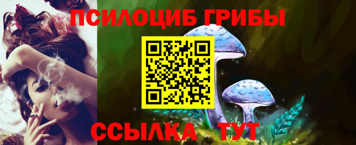 Псилоцибиновые грибы Psilocybine cubensis Отрадное